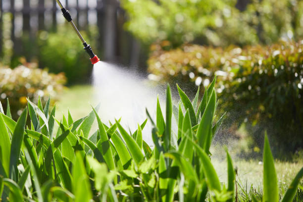 24/7 Emergency Cockroach Control experts in Saratoga, WY