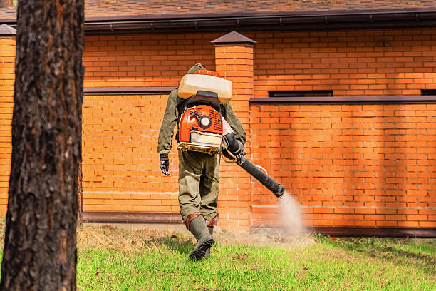 Trusted Bed Bug Control service in Saratoga, WY - Nex Pest Control